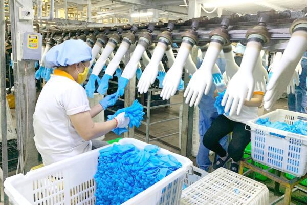 Các nhà máy sản xuất găng tay y tế tại Việt Nam